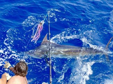 Faro District Report Photo 4
