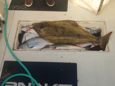 Newport Report Photo 1