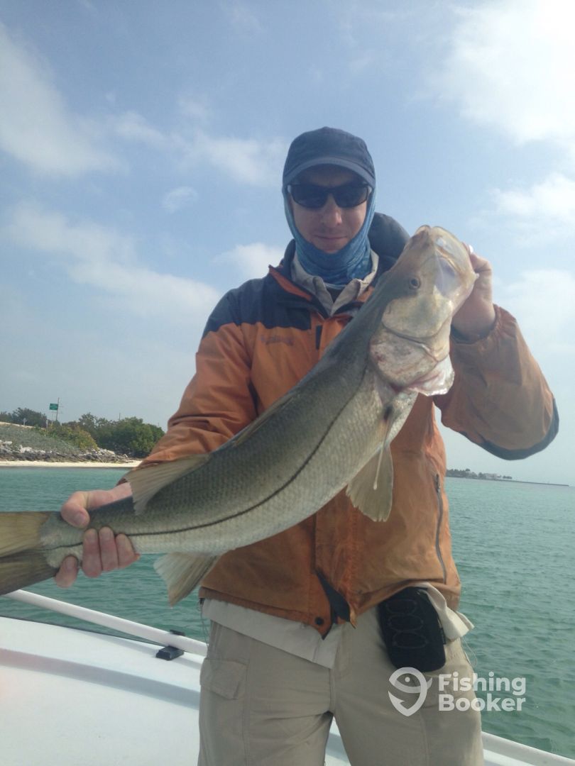 SNOOK