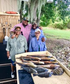 Barataria Report Photo 2