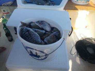 Trogir Report Photo 1