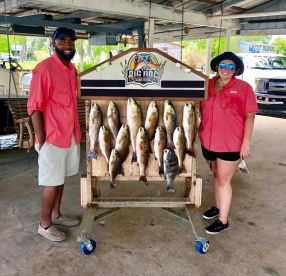 Barataria Report Photo 1