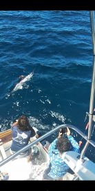 Faro District Report Photo 2