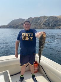 San Diego Report Photo 2
