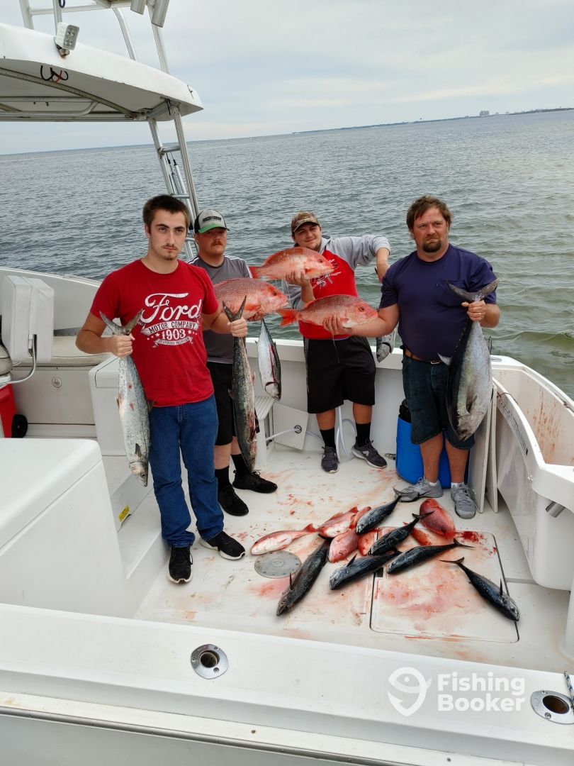 Okaloosa Island Report Photo 0
