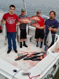 Okaloosa Island Report Photo 4