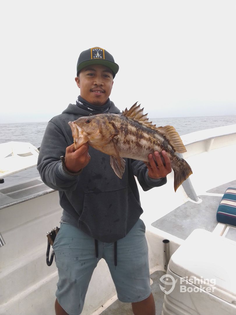 Ensenada Report Photo 0