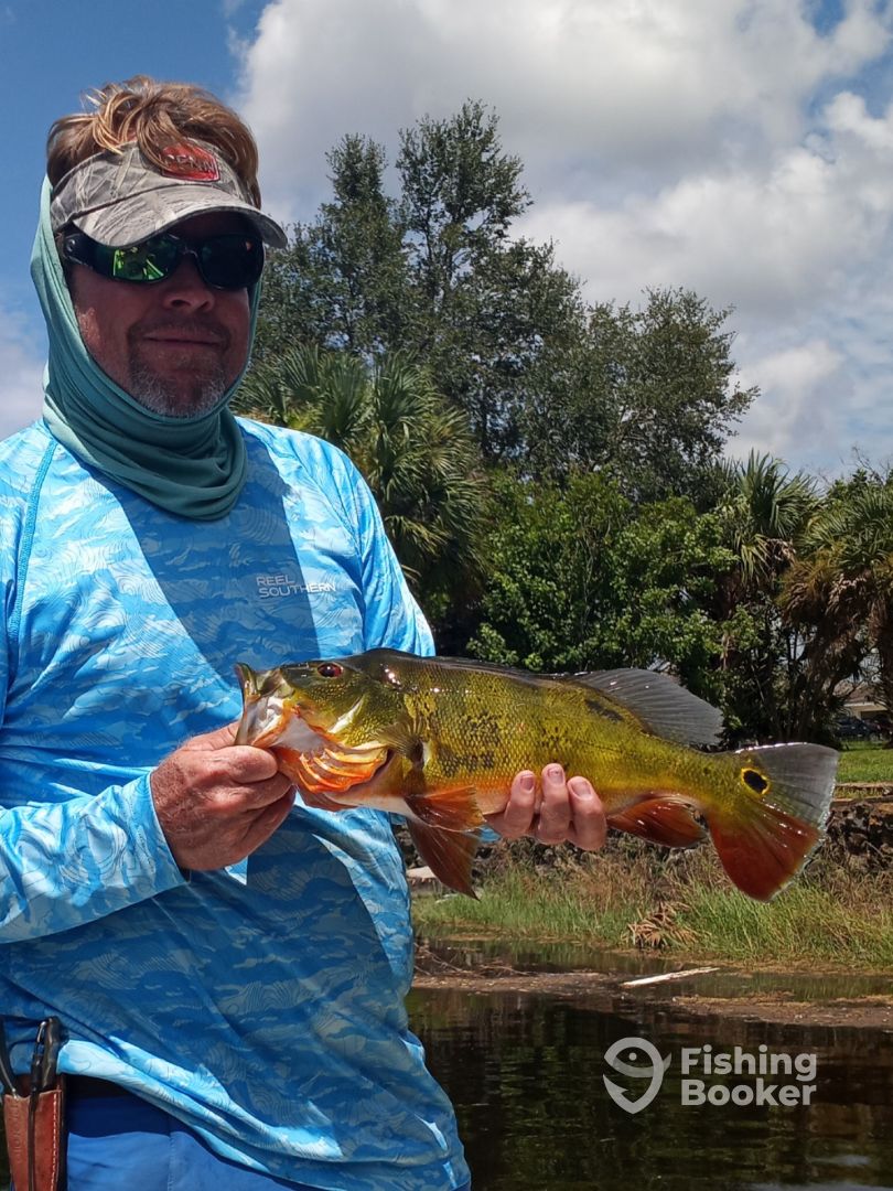 Bonita Springs Report Photo 0