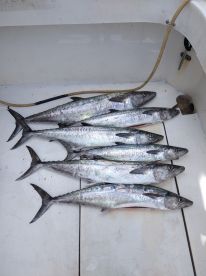 Port Canaveral Report Photo 1