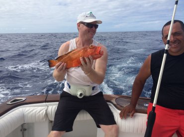 Red Hind Grouper