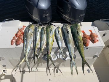Fort Lauderdale Report Photo 1