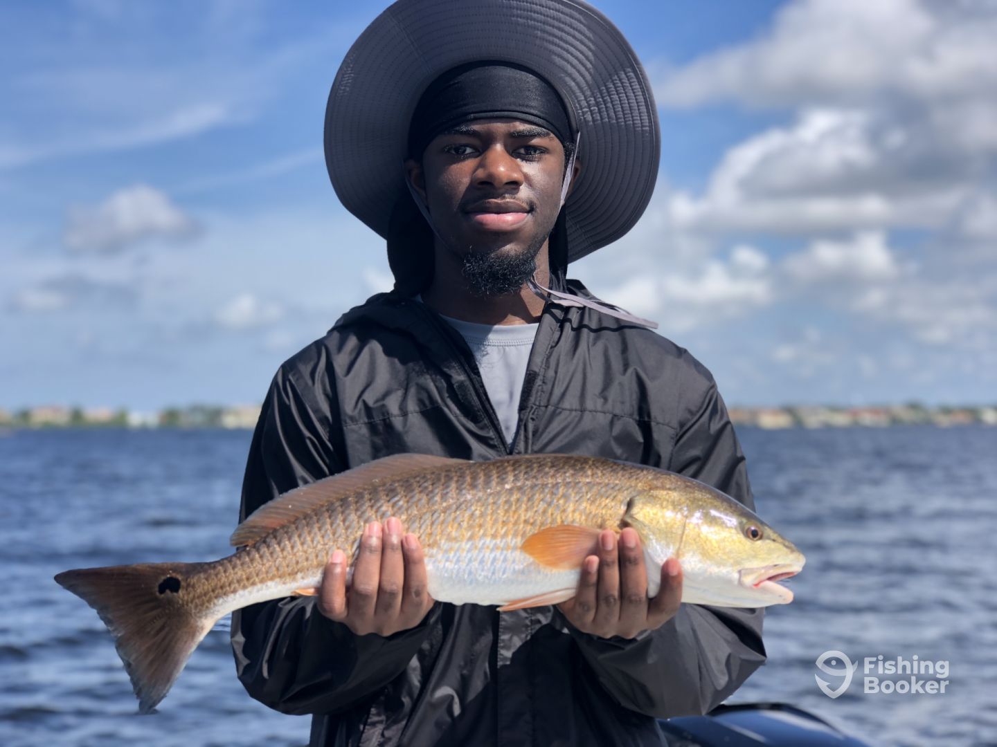 Sarasota Report Photo 0