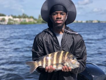 Sarasota Report Photo 2