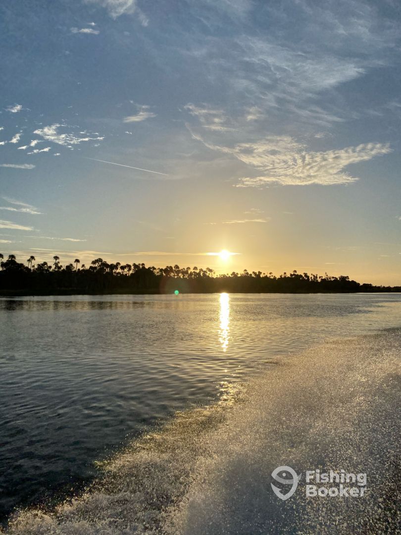 Homosassa Foto: 0