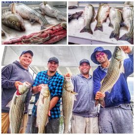 Montauk Report Photo 1