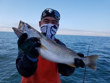 Buzzards Bay Report Photo 2
