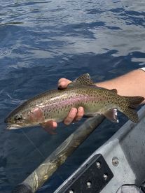 Tennessee Report Photo 2