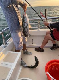 Montauk Report Photo 2