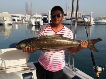 40 pounds Cobia and other fish for a day