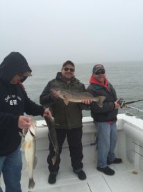 Port Clinton Report Photo 1