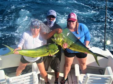 Cabo San Lucas Report Photo 1