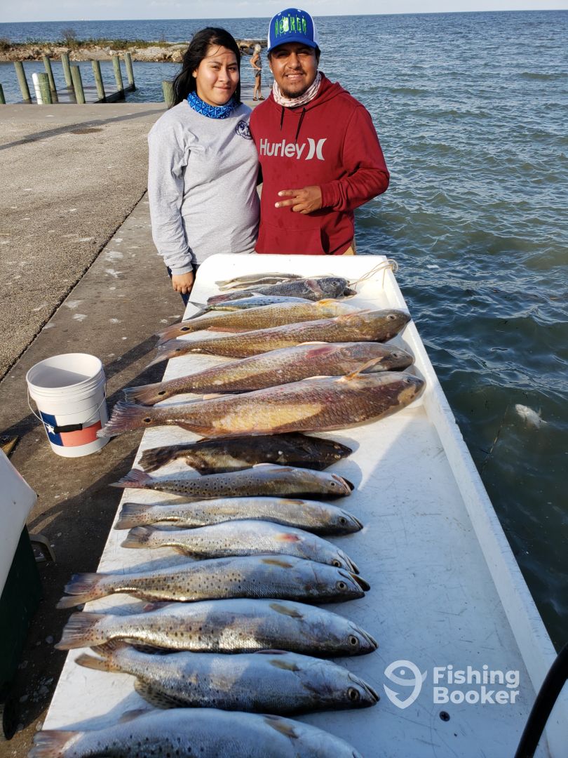 Texas City Report Photo 0