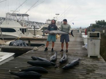 Manteo Report Photo 1