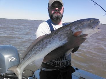 St. Simons Island Report Photo 2