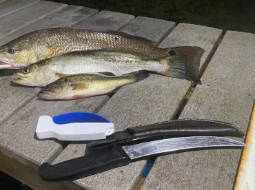 Santa Rosa Beach Report Photo 1