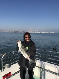 San Francisco Report Photo 1