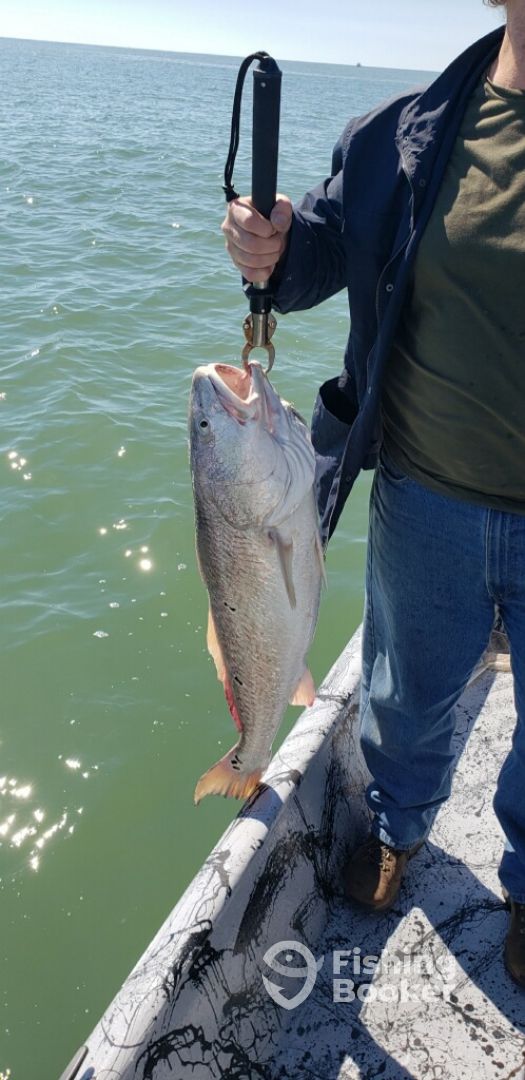 Brazoria County Report Photo 0