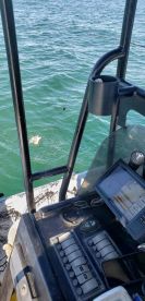 Brazoria County Report Photo 1
