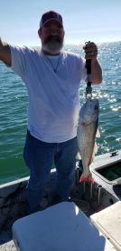 Brazoria County Report Photo 4