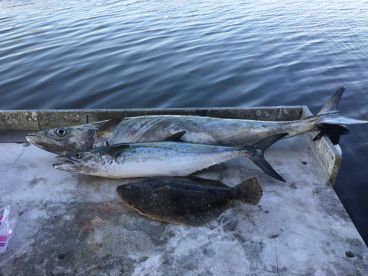 Mixed Bag