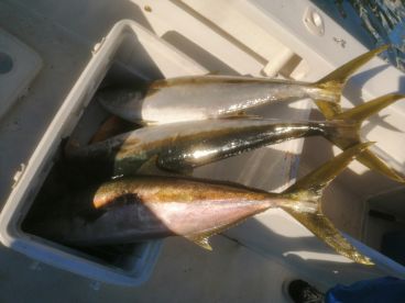 La Paz Report Photo 2