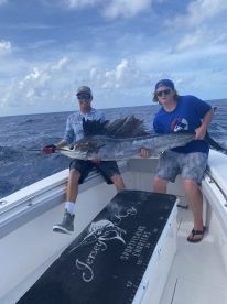 Winter is Coming! Sailfish, Cobia, Snap