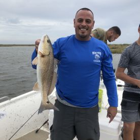 St. Bernard Report Photo 1
