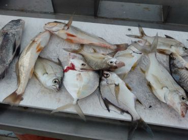 Great day fishing, wind can't stop us!