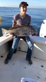 Tautog and black drum !!!
