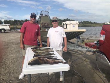 Homosassa Report Photo 2