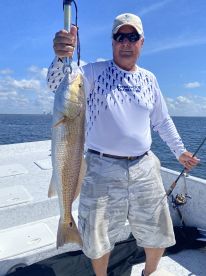 Fish on
