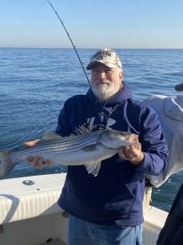 Stripes and black fish has kicked off