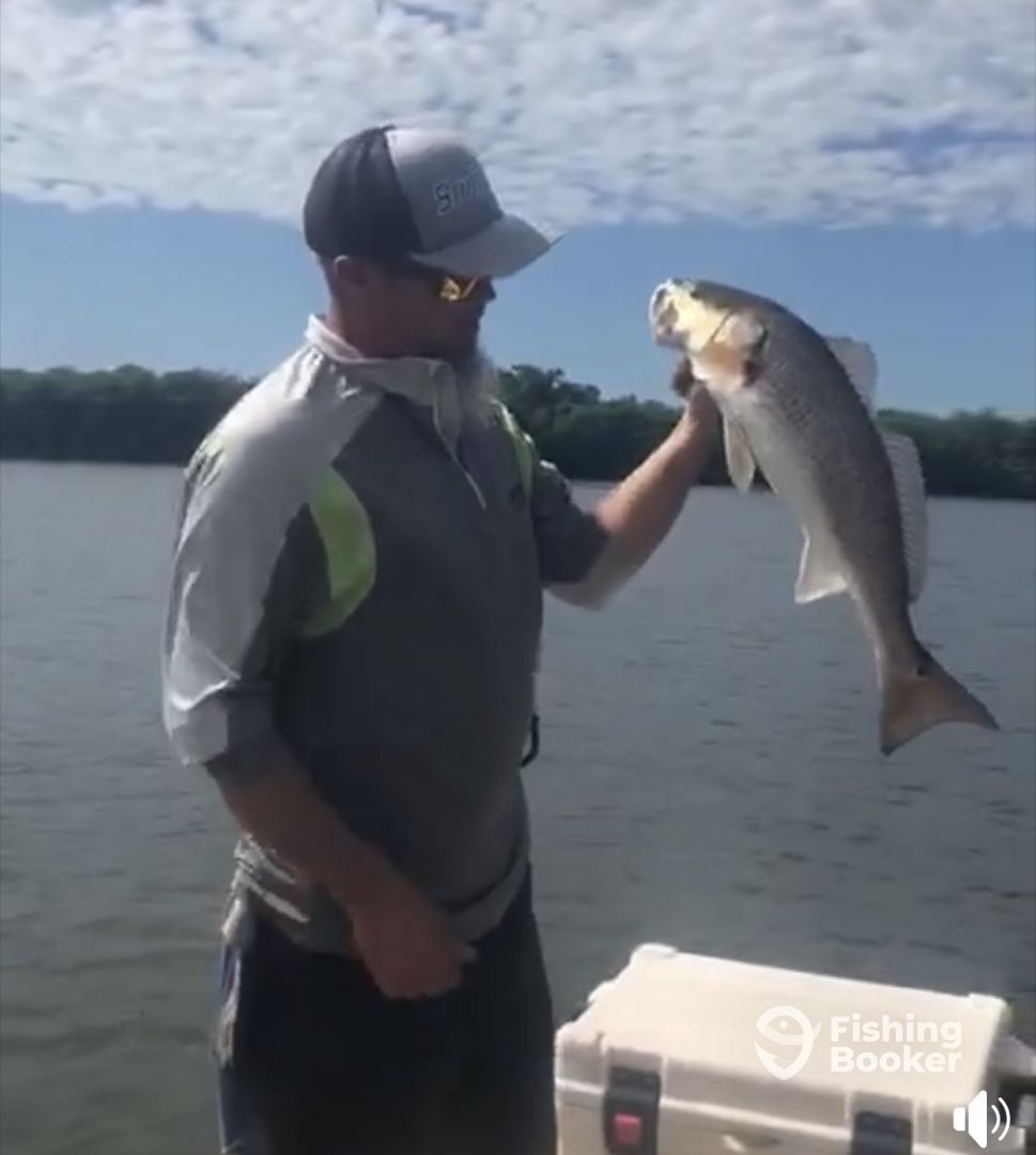 Homosassa Report Photo 0