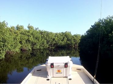 Homosassa Report Photo 1