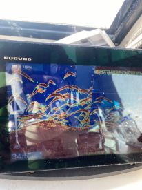 San Francisco Report Photo 2