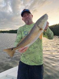 St. Petersburg Report Photo 2