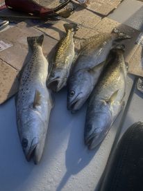Carteret County Report Photo 1