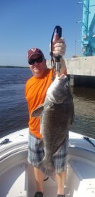 Jacksonville Report Photo 2