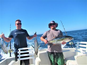 Cabo San Lucas Report Photo 1