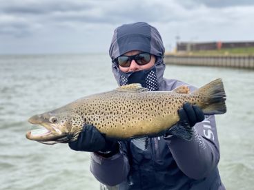 Observations from the Water - 11/22/20